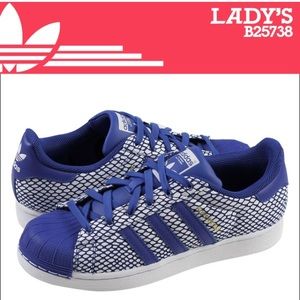 Bold Blue Snake Adidas